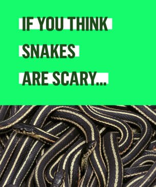 If you think snakes are scary